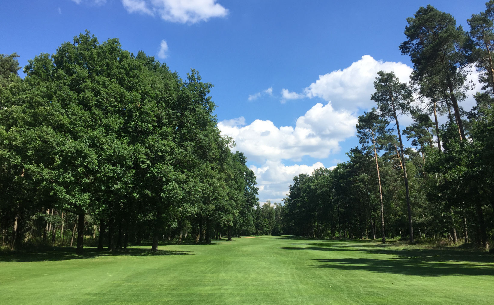 Golftraining - Schmale Golfbahn