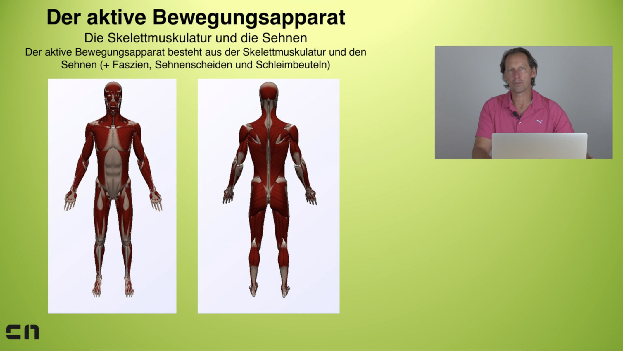 Das Bewegungssystem des Menschen im Golfsport - Online-Seminar