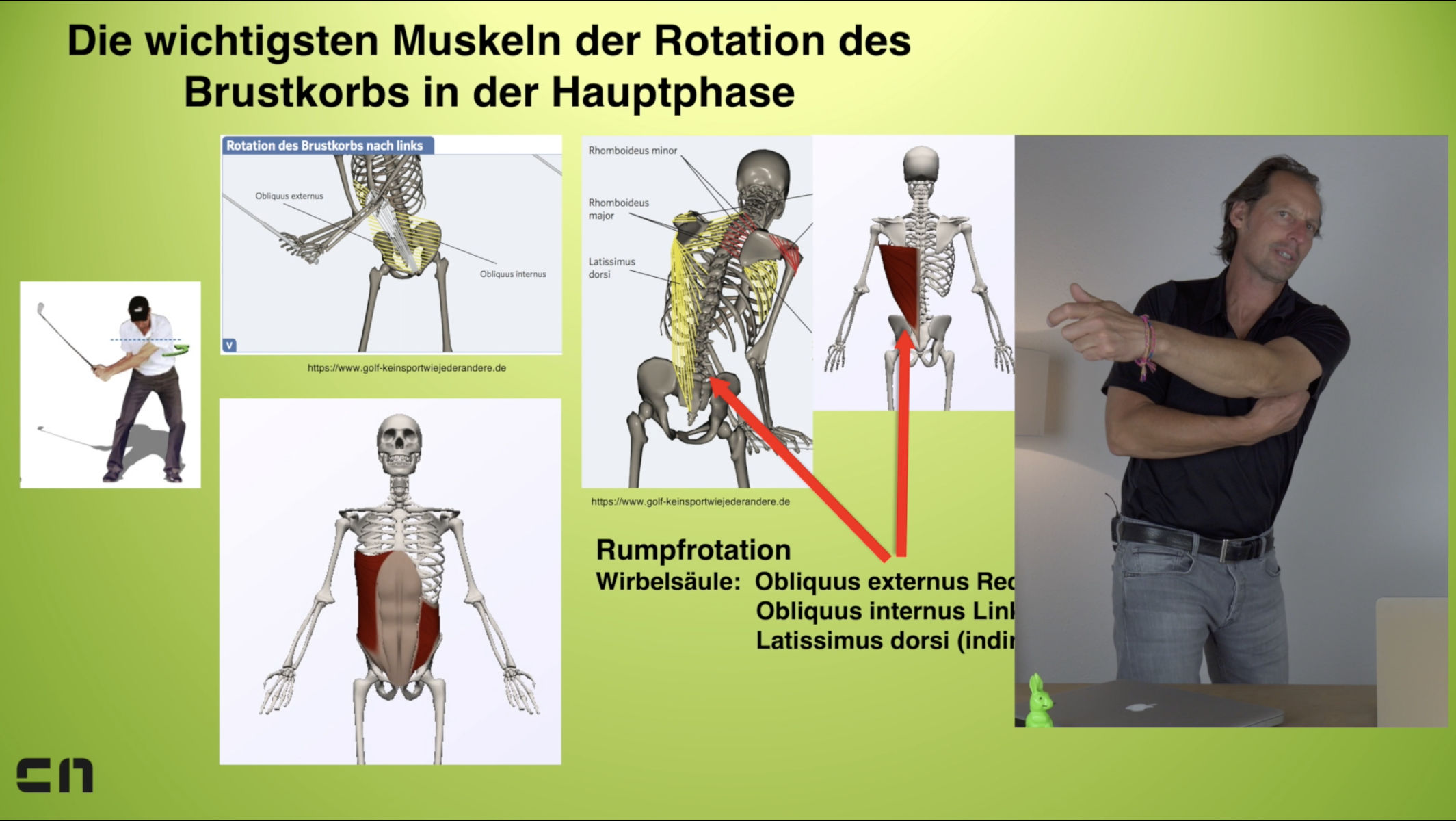 Das Bewegungssystem des Menschen im Golfsport - Online-Seminar